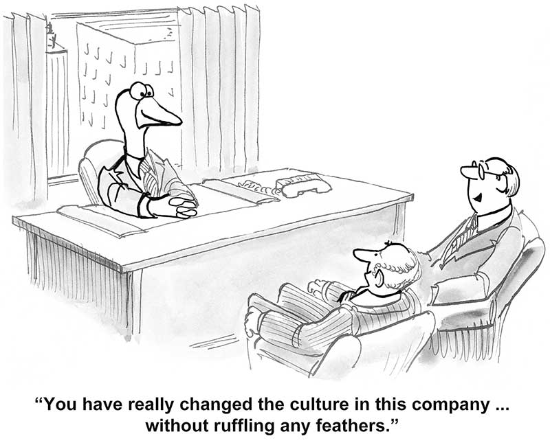 Organizational improvement organizational culture