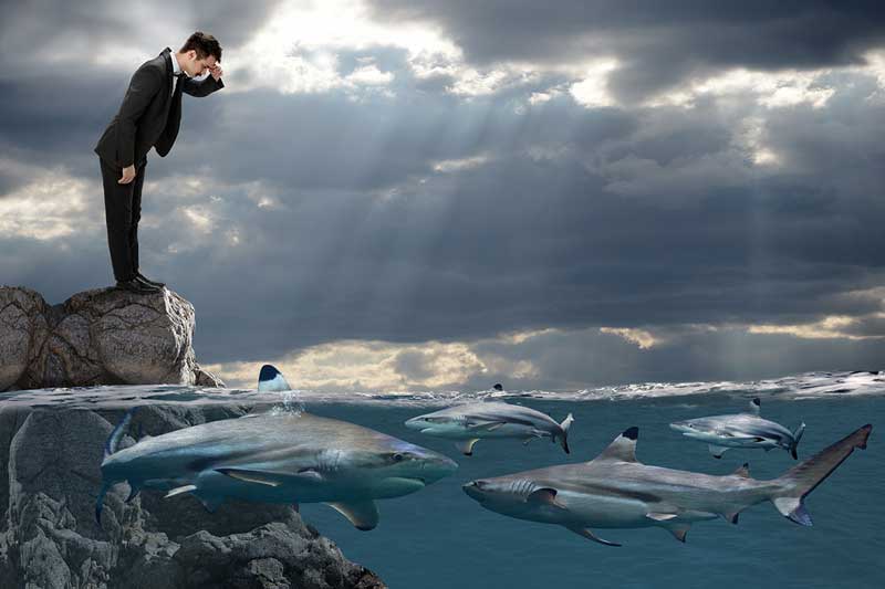Conflicts among boardroom trustees: Swimming in dangerous waters